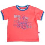 Polo-Bebe-Niño