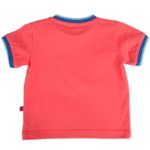 Polo-Bebe-Niño