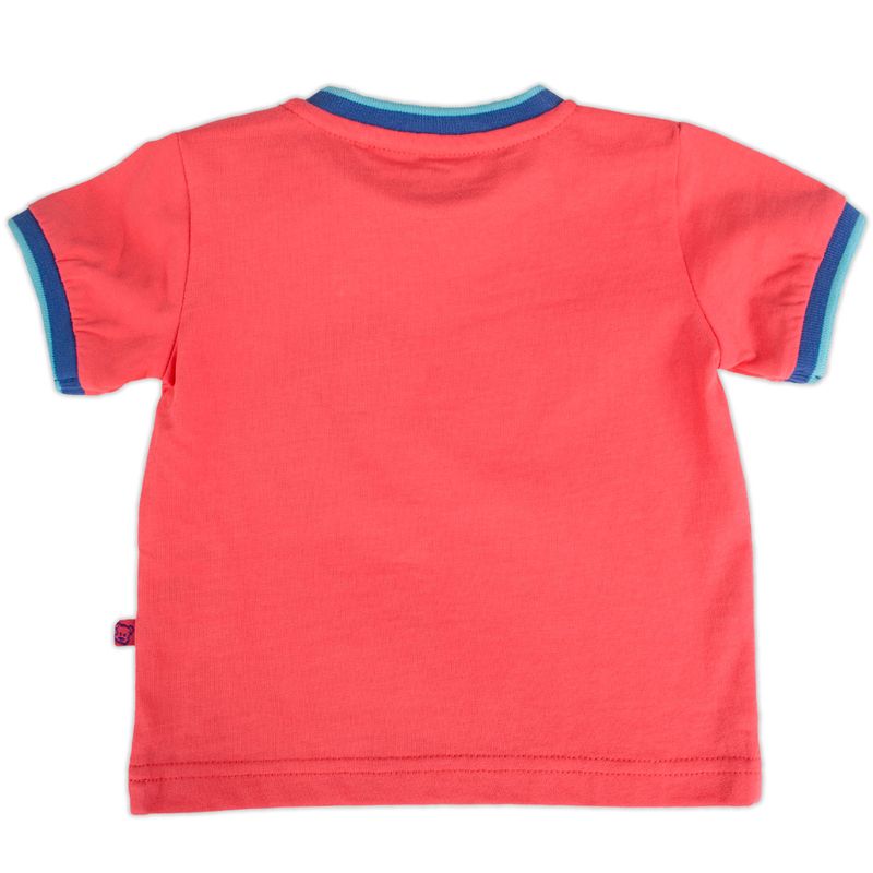 Polo-Bebe-Niño