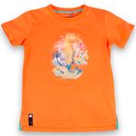 Polo-Niño