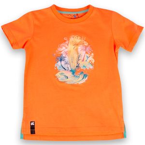 Polo Niño