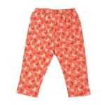 new-product