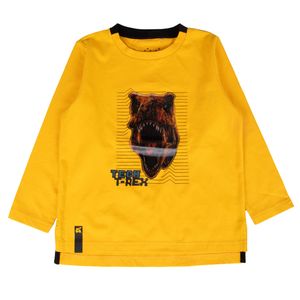 Polo Niño